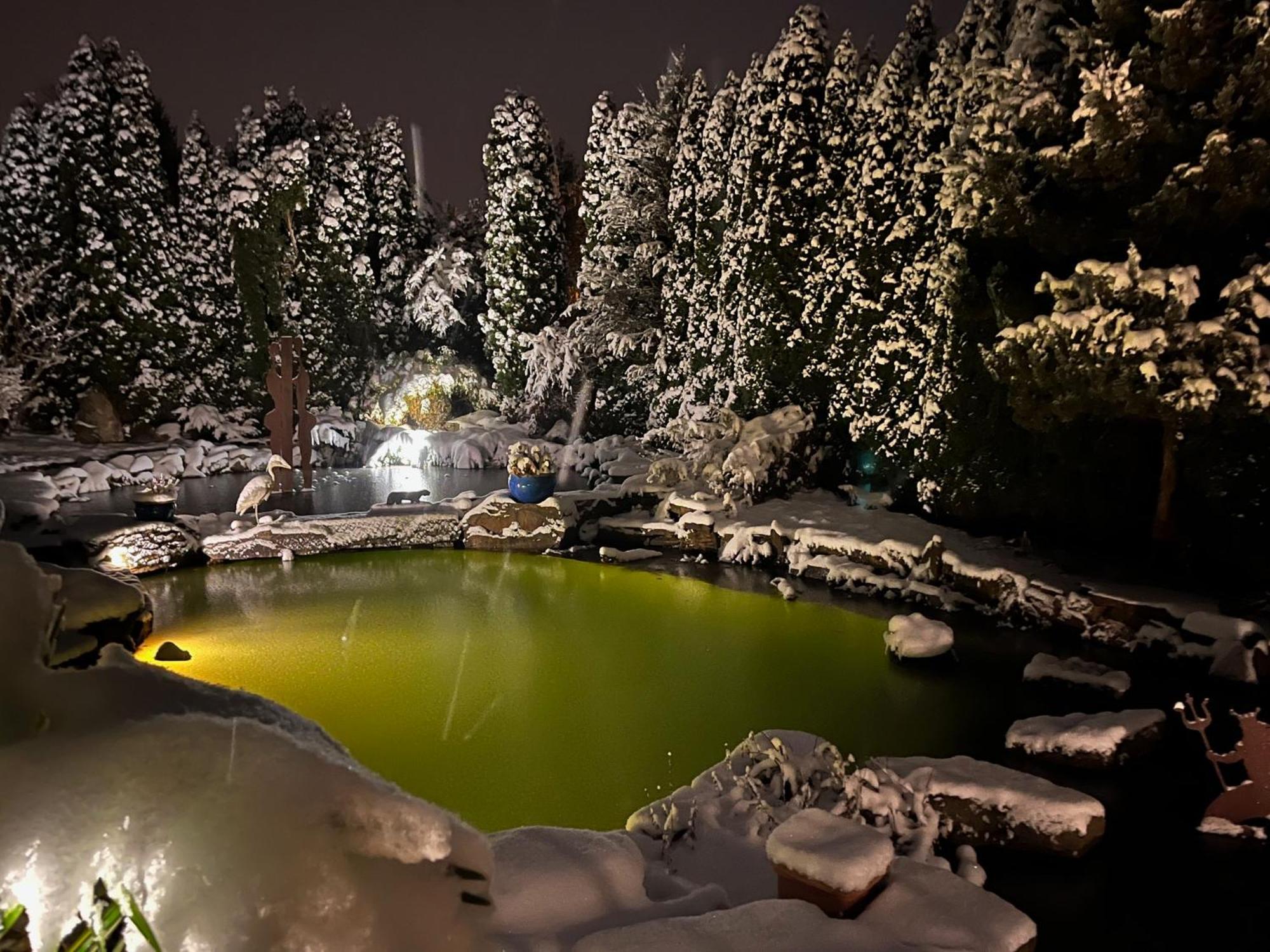 Glückliche Kuh-villa: Boutique Retreat With Garden & Pool In Kempten-allgäu Kempten